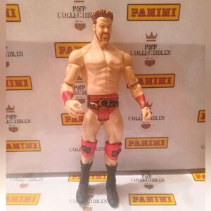 Sheamus The Celtic Warrior 🔥 WWE Wrestling Action Figure Toy